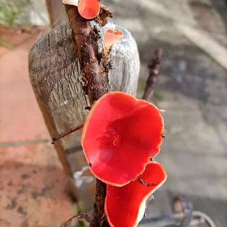 Welcome In Toscana شقة *