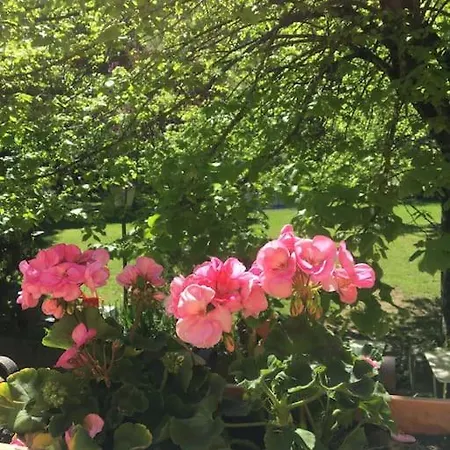 شقة Welcome In Toscana *