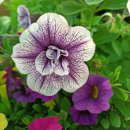 Welcome In Toscana شقة Polcanto