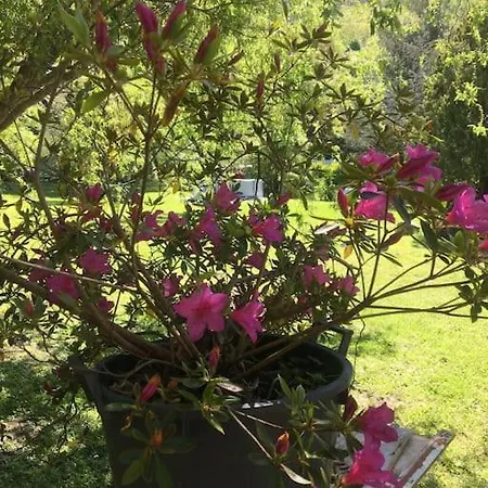 Welcome In Toscana * Polcanto