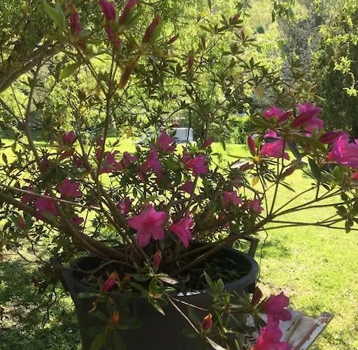 Welcome In Toscana * Polcanto